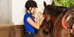 How Do You Properly Fit a Horse Bridle?