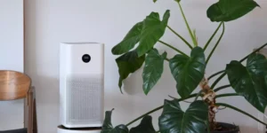 Enhancing Your Home With Smart Air Purifiers
