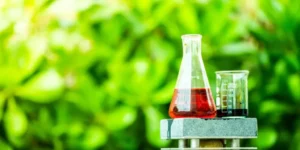 Why Is It Essential to Store Garden Chemicals Securely?