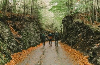 Family-Friendly Road Trip Tips for Kids and Adults