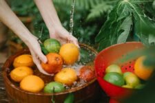 How Can You Grow Fruits Organically in Your Backyard?