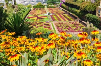 What’s the Best Time of Year to Start an Outdoor Garden?