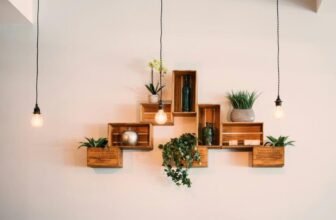 What Are the Best Indoor Plants for Interior Design?